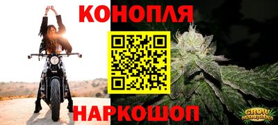 spice Балашиха