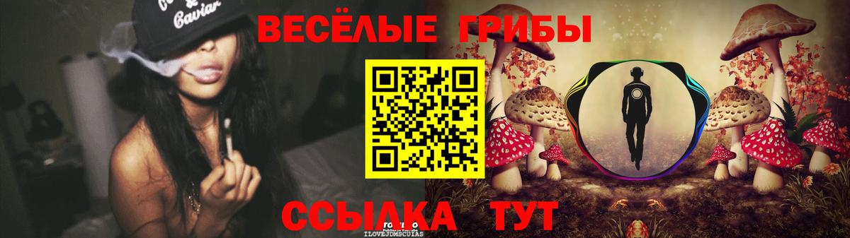 Псилоцибиновые грибы Psilocybine cubensis  Борзя 